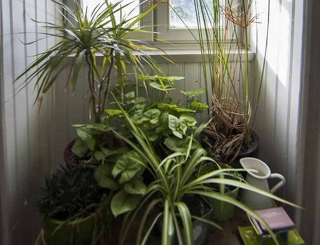 Au Fin Gourmet Hotel 2*